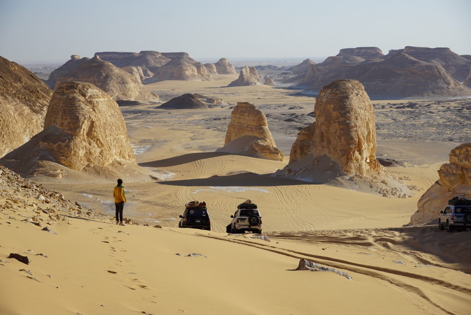 Le White Desert National Park et ses merveilles géologiques