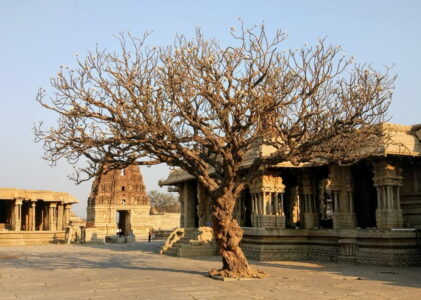 Hampi : la merveille oubliée de l’Inde du Sud