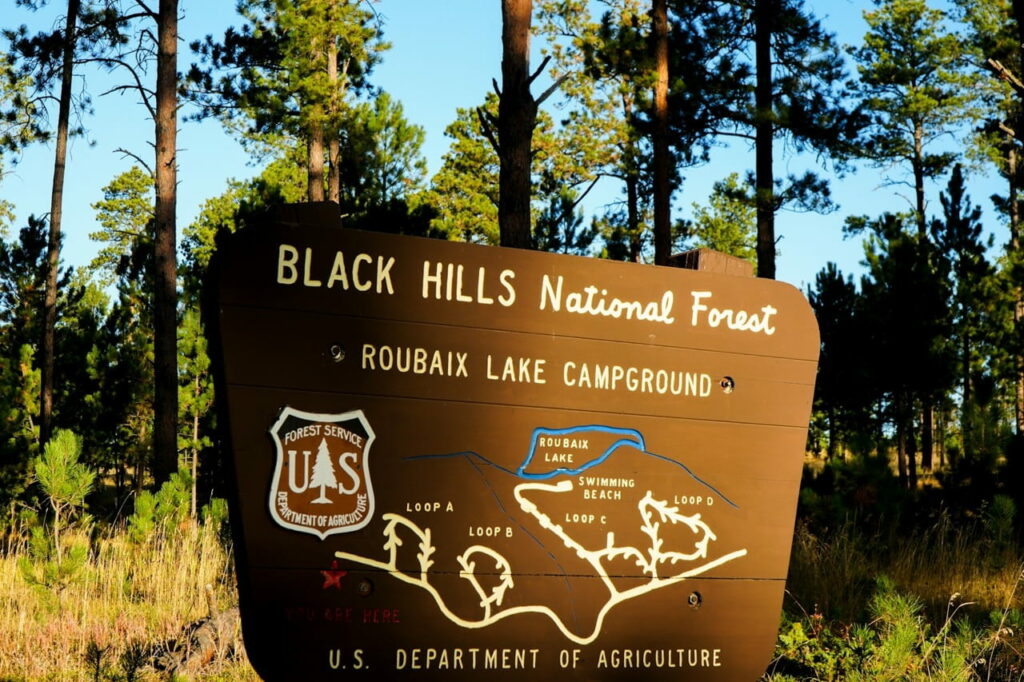 Black Hills National Forest